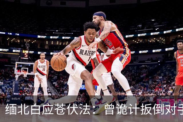 缅北白应苍伏法：曾诡计扳倒对手，生日众星祝贺，狂言死磕某大国