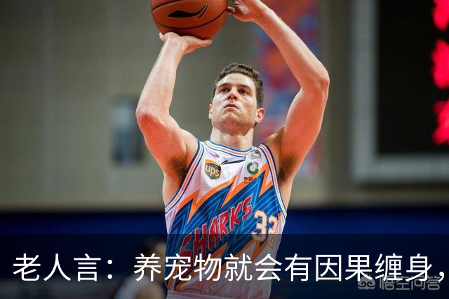 老人言：养宠物就会有因果缠身，这3件事养猫人需要知的冥界规则